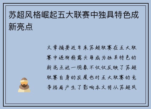 苏超风格崛起五大联赛中独具特色成新亮点